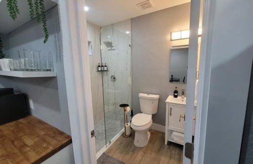 Jungle in the City! - Foto 23