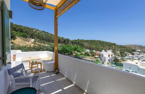 Lefkes View Villa - Photo 48