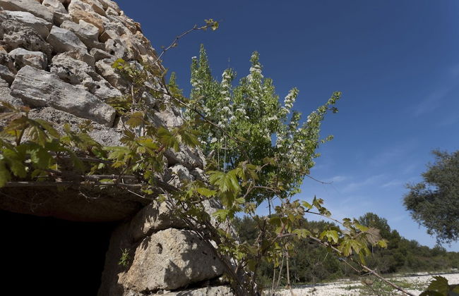 Borgo del Sole Salento - Photo 49