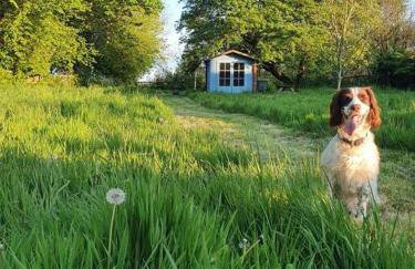 Nature Charm & Fruit Delights, multi-generation celebratory home -Try, Relax, Repeat - Sellindge - Foto 9