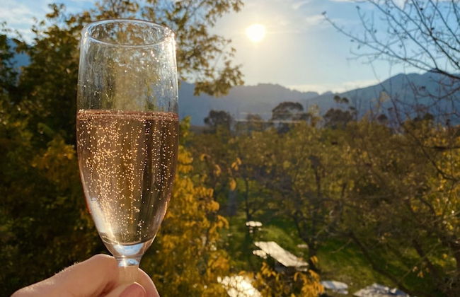 Jan Harmsgat Country House - Foto 80