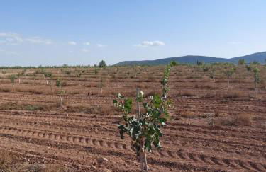 Casa Rural "La villa del pistacho" - Foto 36