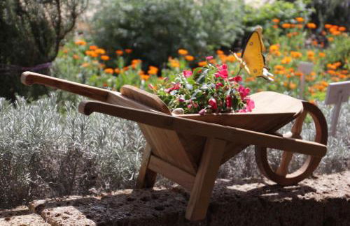 Fattoria Belvedere - Foto 19