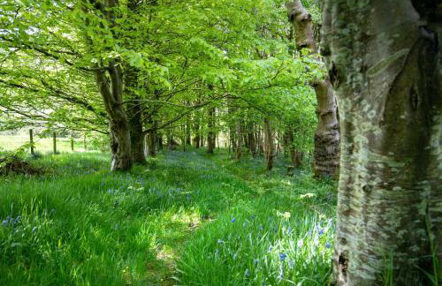 Brynarth Country Cottages - Foto 79