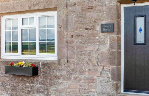 Flossy's House -Uk35020 - Photo 23