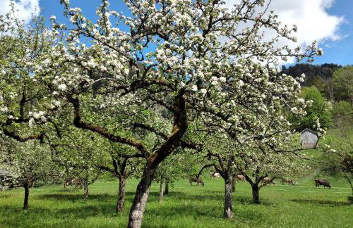 Haus Brigitte - Foto 20