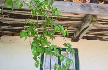 Vintage studio am Chiemsee - Foto 35