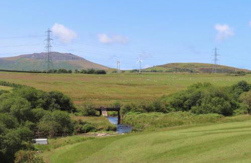 Bwthyn Derwin Fawr - Photo 37