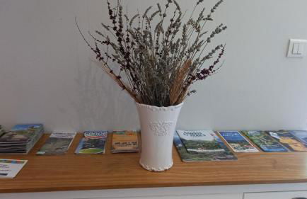 Sur les Rives du Haut Allier - Foto 12