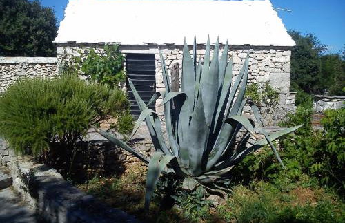 Country House Hacienda - Photo 54