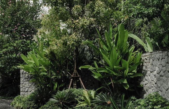 Tree O'clock Pool Villa - Phuket - Foto 59