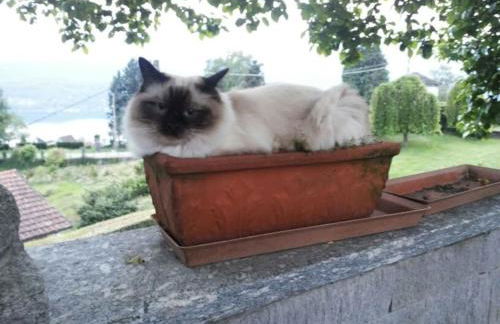 Villa Le Vignole - Photo 48