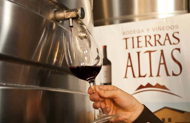 Tour por la zona vitivinícola del Camino del Vino El Sol - Foto 8
