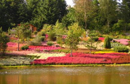 Sternenacht - Foto 31