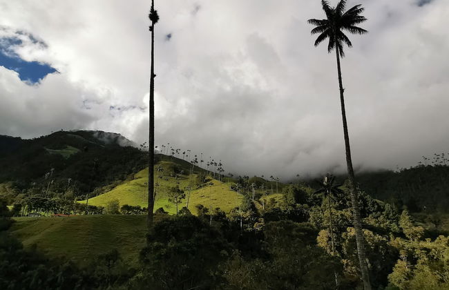 Casa Tien - Photo 70