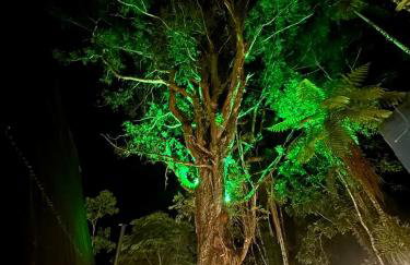 Cabana Eucalipto - Photo 53