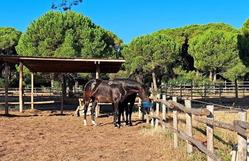 Mareblù - Tuscany Green Aparthotel - Foto 47