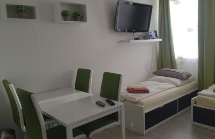 Sonniges Modernes Appartement Höhenberg - Foto 8