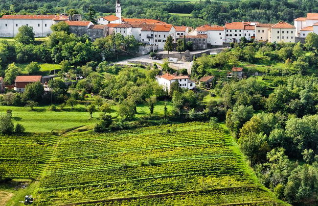 Visita alla Valle del Vipava - Tour privato di mezza giornata - Foto 2