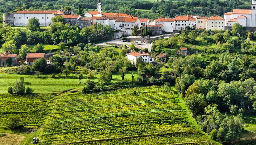 Visita alla Valle del Vipava - Tour privato di mezza giornata - Foto 2