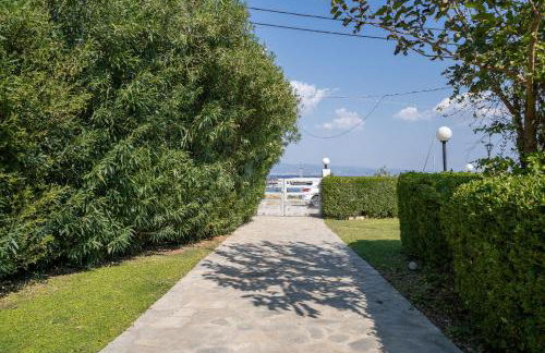 Seashell by halu! - Foto 65