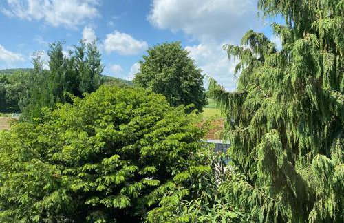 Ferien- und Messewohnung in idyllischer Lage - Foto 6
