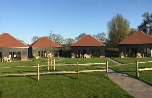 The Old Flower Field - Foto 6