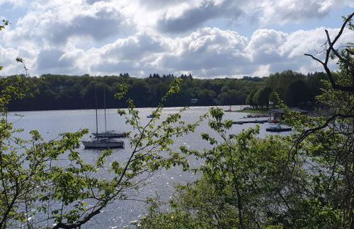 Les mimosas du Lac Vue panoramique sur le lac - Foto 33