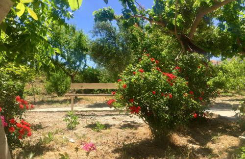 Goldy's Villa - Foto 45