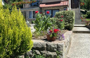 Noclegi pod kasztanem - Foto 47