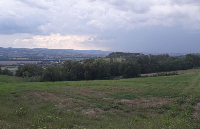 Agriturismo Il Truffarello - Foto 34