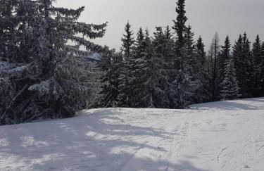 Alpina Inzell Wohnung 454 - Foto 38