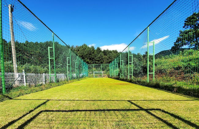 Sea and Sunset Pension - Photo 12