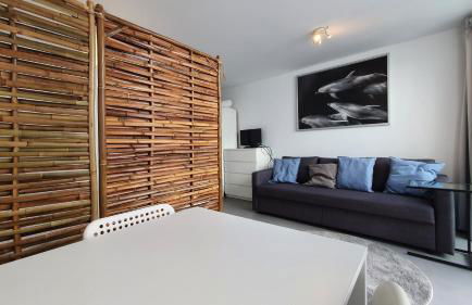 Beautiful Studio With Patio Carrapateira - Foto 6