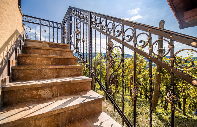 Vineyard Holiday House Kerin - Foto 27