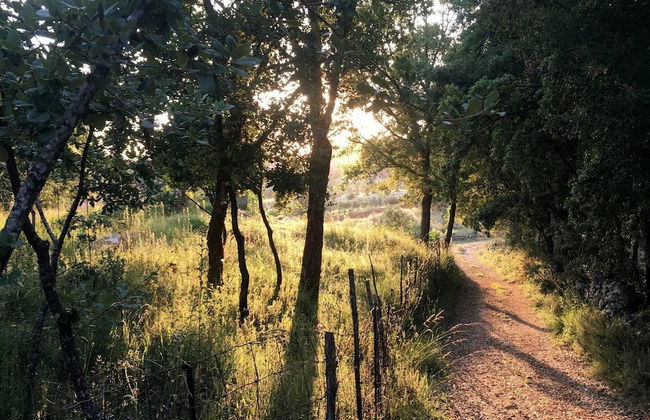 Pausastay - QdM Artist Suites - Villa - Foto 31