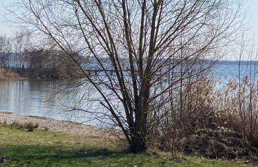 SeeZauber- gemütliche Ferienwohnung, Privatparkplatz, Cospudener See - Foto 8