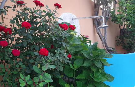 Villetta Il Faro sul Mare - Photo 16