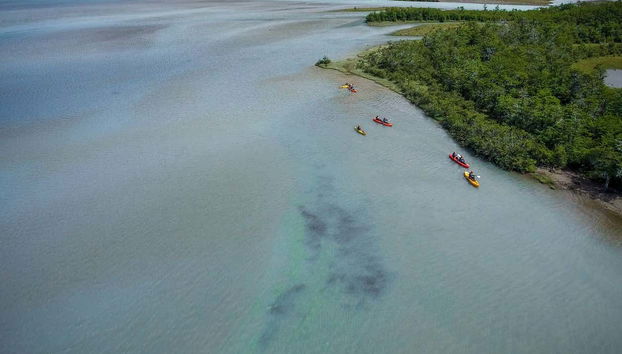 Tour en kayak por el río de las Vueltas - Foto 3