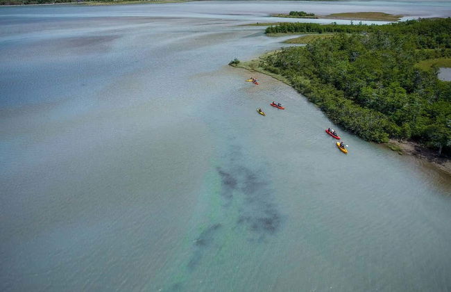 Tour en kayak por el río de las Vueltas - Foto 3