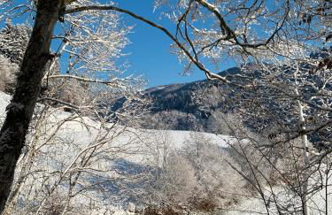 Ferienwohnung Kleines Wiesental - Foto 31