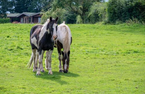 Sun Hill Farmhouse - Photo 24