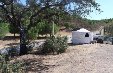 Monte Das Ferrarias - Foto 37