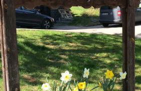 Ferienwohnung Schwarzatal - Foto 36