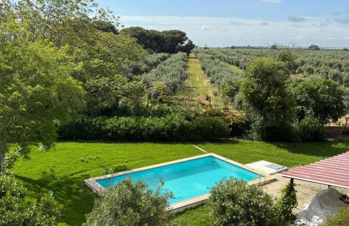 Hacienda Don Rodrigo - Foto 30