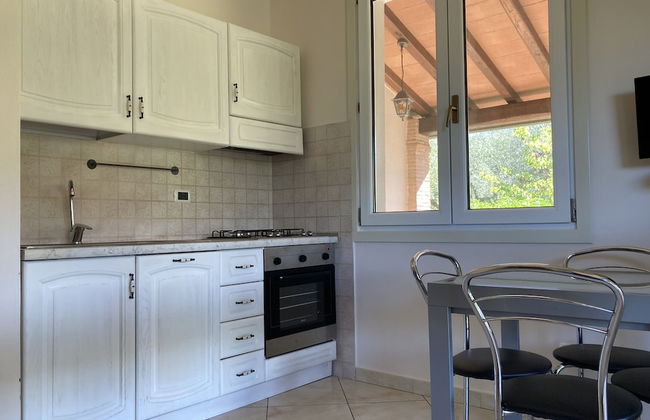 Buen Camino SSA - Foto 10