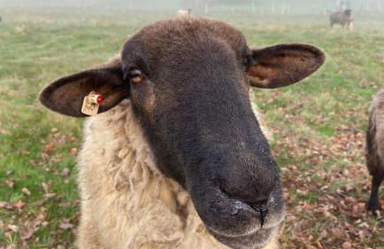 Charaktervolle Whg mit Parkplatz nähe Kassel - Foto 34