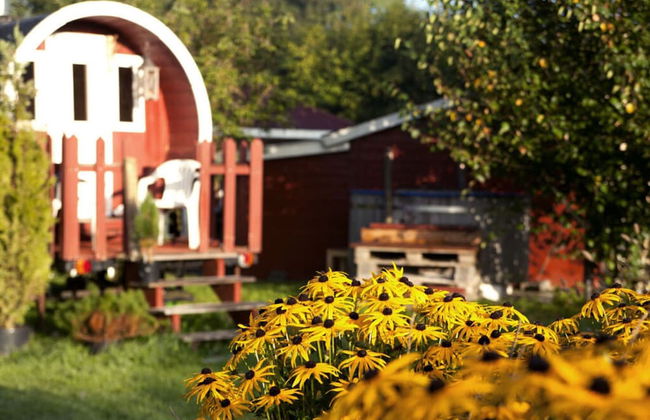 Holiday Home Altes Zollhaus No. 19 - Foto 21