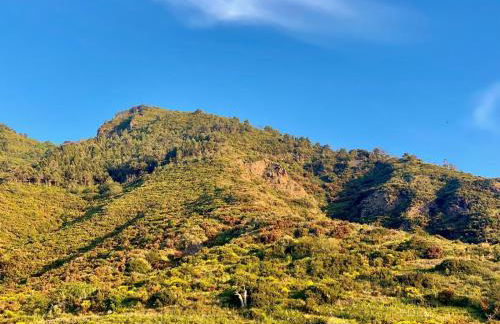 Casa Zagami - Foto 47