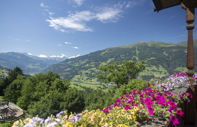 Ferienhof Sonnseitn - Foto 7